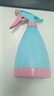 喷壶小型喷壶器浇花洒水壶糖果色喷壶喷水工具 糖果蓝色（2个装） 实拍图
