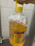 鲁花 食用油  物理压榨  玉米油6.18L  新老包装随机发放 实拍图