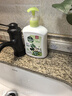 滴露（Dettol）洗手液抑菌滋润茉莉绿茶500g 儿童洗手液消毒 滋润护手米奇米妮版 实拍图