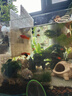 茨格曼鱼缸过滤棉专用过滤器白棉高密度加厚净化海绵水族箱生化过滤材料 实拍图