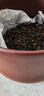 下关沱茶 茶叶 普洱茶普洱生茶 2015年金榜甲沱盒装 500g/盒 中华老字号 实拍图