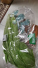 有机汇有机油麦菜 牛俐菜绿叶菜火锅蒜蓉清炒 有机种植无农残 当天采摘 250g 实拍图