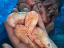 美加佳熟冻北极甜虾腹籽净重3斤 90/120规格  海鲜水产 熟冻甜虾 实拍图