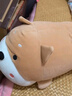 名创优品（MINISO）趴姿系大号趣味狗狗公仔毛绒玩偶玩具抱枕布娃娃生日礼物女卡其色 实拍图