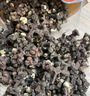 修年堂 拐枣干500g 枳椇子 新鲜晒干拐枣 泡酒料拐枣酒 拐枣果万寿果 实拍图