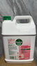 滴露（Dettol）洗手液滋润250g 儿童洗手液抑菌消毒宝宝 水润补充装尝鲜 实拍图