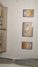 Sixpoetry 客厅装饰画现代简约沙发背景墙壁画轻奢三联晶瓷画大气高档挂画 福禄生花（铝合金外框） 晶瓷画左右35*50+中间70*50亮面 实拍图