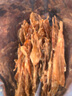 麦富迪狗狗零食薄切肉干薄切鸡肉干680g成幼犬磨牙棒训练解馋宠物零食 实拍图