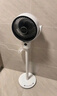 艾美特（AIRMATE）【小暴风语音】空气循环扇大风量电风扇家用小型落地扇升级加高电扇轻音柔风小风扇 FA18-SR160 实拍图