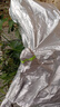 贵杰加厚电动车防雨罩防晒罩防尘罩摩托车电瓶车车衣车罩车套四季通用 银色铝膜加厚 XL号双耳加厚【2.1米】 实拍图