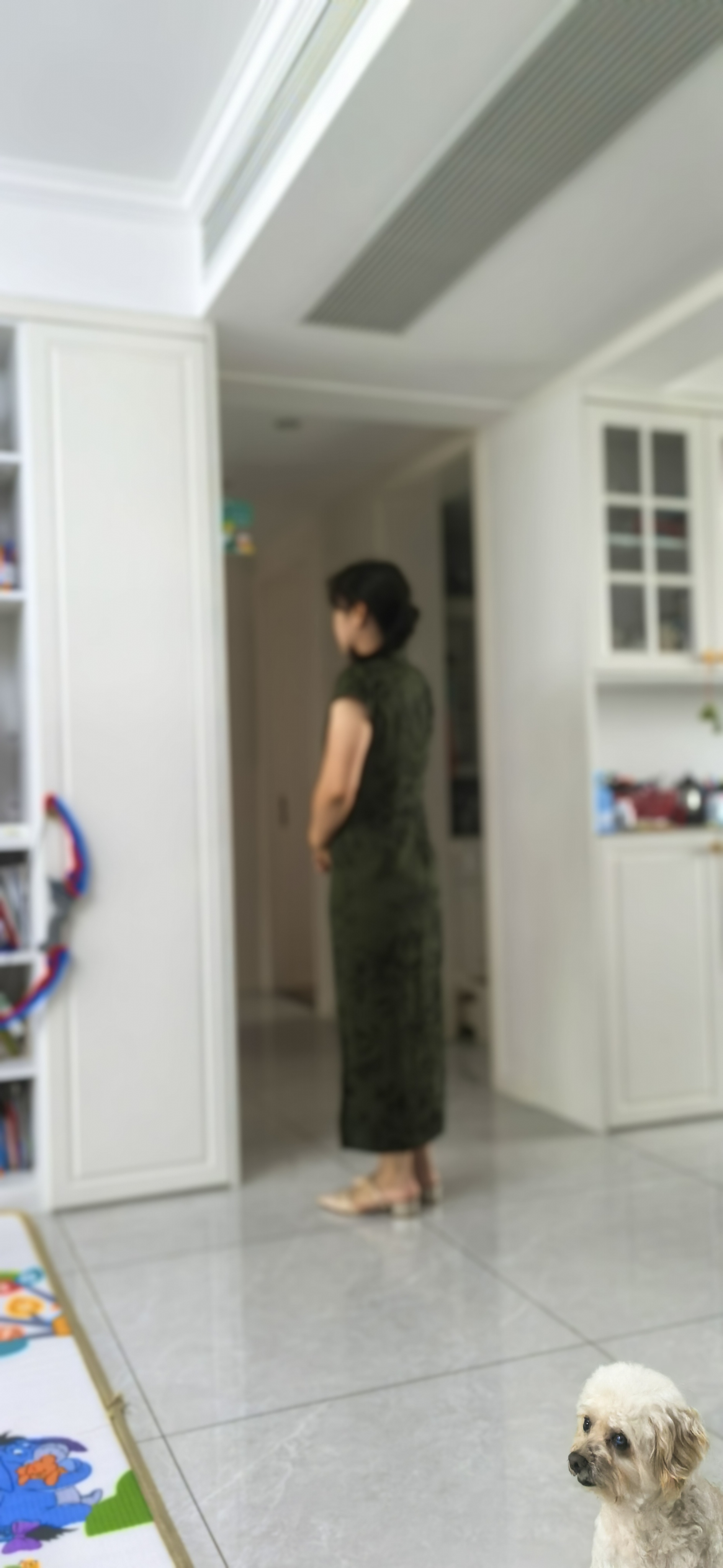 丝柏舍新中式旗袍2026夏装新款女装复古短袖立领中长款连衣裙 实拍图