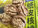 沐小七果蔬 大凉山新鲜湿核桃【多地次日达】去青皮嫩纸皮核桃水果礼盒送礼 SS+级老树巨无霸果王【更大更香甜】 去青皮9斤装【送夹子】蕞划算丨净8斤 实拍图