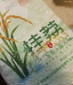 挂荔地标增城丝苗米3斤 南方大米 长粒香米 国家地标产品 真空包装 实拍图