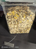 WEYES冻干4拼混合肉碎桶500g宠物猫狗零食冻干鸡肉鸡胸肉鸭肉粒营养 实拍图