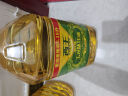 西王 食用油 玉米胚芽油6.18L 非转基因物理压榨 实拍图