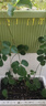 美乐棵通用泥炭土养花园艺种植土花土肥料花肥绿植专用土壤40L 实拍图