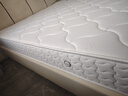 全友家居弹簧床垫天然环保椰棕偏硬床垫家用席梦思床垫子1.5x2米家具 升级款|1.8*2.0m床垫|厚20.5cm 实拍图