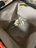 威拓森可折叠打水桶钓鱼装鱼小水桶手提桶 13L【24*24灰】 送5M绳 实拍图