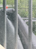 源兴（YUANXING）绿银篷布加厚防水布货车防雨布篷布遮阳遮雨防晒油布塑料布 2*4米 实拍图