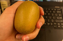 佳沛（zespri）新西兰 阳光金奇异果12粒礼盒特大果单果约122-146g 猕猴桃 水果 实拍图