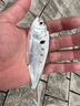 哈斯达（HISTAR）蝴蝶二代套装高碳UL路亚竿fuji导环超软微物小鱼专攻钓鱼竿套装 1.68m 蝴蝶二代UL纺车轮套装 【下单送礼包到手即钓】 实拍图