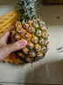 京鲜生 徐闻香水菠萝 净重750g 1粒装 生鲜水果源头直发 实拍图