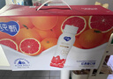 蒙牛纯甄高端轻酪乳风味酸奶红西柚口味230g×10瓶 礼盒装 实拍图