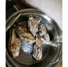 贝司令（BEISILING）【鲜活】乳山生态生蚝牡蛎贝类烧烤源头直发4XL净重4斤 端午聚餐 实拍图