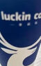 瑞幸咖啡 【回购之王】清凉TOP15选1 大杯 15天有效 限自提 luckin coffee 实拍图