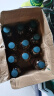 娃哈哈格瓦斯530ml发酵饮品俄罗斯风味 【格瓦斯530ml】*12瓶整箱 实拍图