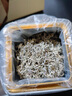 草木方 莓茶100g 莓茶特级野生张家界降三高 搭永顺莓茶霉茶藤茶 养生茶 实拍图