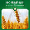 青岛啤酒（TsingTao）百年经典 330ml*20听 整箱装 实拍图