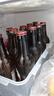 千島湖啤酒（CHEERDAY）精酿原浆9度230ml*24瓶整箱装苏超看球全麦酿造 实拍图