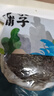 方家铺子中华老字号 紫菜100g/袋 海带虾皮紫菜蛋花汤 早餐  实拍图