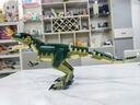 乐高（LEGO）积木拼装31151 霸王龙男孩女孩儿童玩具生日礼物 实拍图