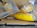 美香农场东北甜糯黄糯玉米 真空包装鲜黄玉米苞米棒 3根* 170g 晒单实拍图