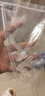 迪士尼各种杯盖与配件等有需要的可以联系客服 新款双用盖吸嘴2个 实拍图
