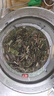 弘礼堂 车前草500g 新晒干货 车轮菜牛舌草 养生茶泡水泡茶 实拍图