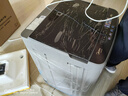 美的（Midea）波轮洗衣机全自动家用 MB55V36E 5.5公斤 宿舍租房 迷你洗衣机小型 随心洗 以旧换新 家电国家补贴 实拍图