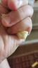 兆辉（ZHAOHUI）原味纯馍片900g整箱装 烤馍片独立包装馒头片早餐饼干休闲零食 实拍图