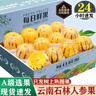 译蒙之味正宗云南人参果圆果树上熟人生果水果当季孕妇新鲜大果清甜整箱 中果 3斤 【单果60-80g】 优选 实拍图