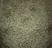 喵洁客（CAT MAGIC）猫砂美国原装进口矿砂钠基矿石抗菌去氨膨润土猫砂42磅蓝标 实拍图