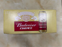 百威百威（Budweiser）淡色拉格啤酒 500ml*18听整箱装 经典纯生 实拍图
