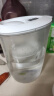 碧然德（BRITA）家用净水壶 滤水壶滤芯 MAXTRA+LE 去水垢专家滤芯 3枚装 实拍图