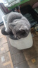 万颐猫粮20斤冻干双拼全价成猫蓝猫布偶肠胃呵护全猫种通用猫干粮10kg 实拍图