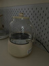 World Kitchen康宁全玻璃养生壶恒温壶烧水壶热水壶家用多功能办公室煮茶器煮茶壶电热水壶1.6L(基础款） 实拍图