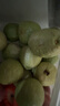 思卓（SIZHUO）红心软芭乐 广东番石榴新鲜水果健康轻食土巴乐软糯甜心单果130g+ 奶油芭乐红心净重4.5斤软糯甜心 实拍图