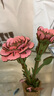 若物木艺繁花积木花diy手工花老师立体拼图教师节礼物送老师 粉康乃馨 实拍图