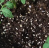 德沃多肥料蔬菜营养土15L带肥料 园艺种菜土壤阳台盆栽蔬菜通用型种植基质土 实拍图