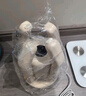 小质烘鞋器烘鞋机干鞋器鞋子烘干器紫光消毒除臭除菌家用烤鞋器可折叠可伸缩SH03 实拍图